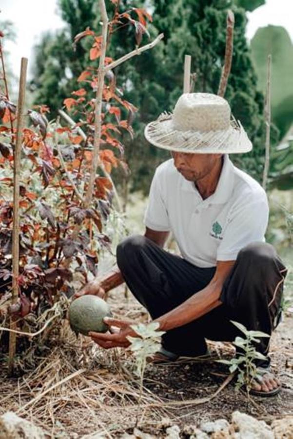 The Mesare Eco Resort Batumadeg Bagian luar foto